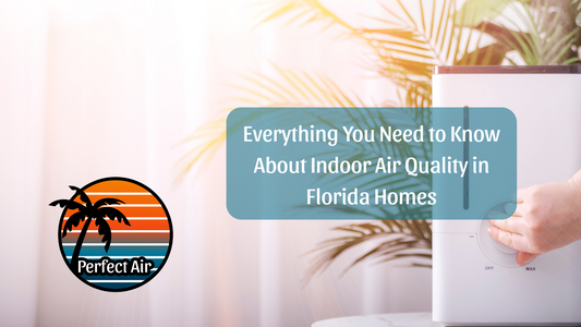 Everything You Need to Know About Indoor Air Quality in Florida Homes