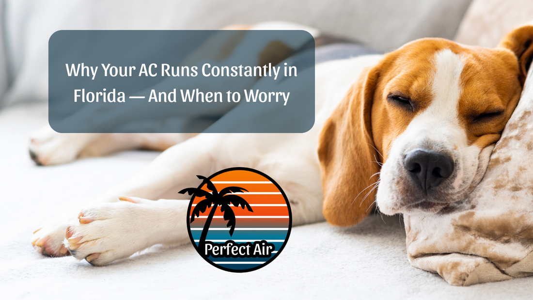 Why Your AC Runs Constantly in Florida — And When to Worry