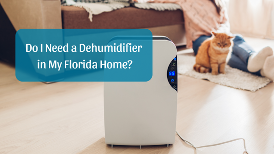 Do I Need a Dehumidifier in My Florida Home?