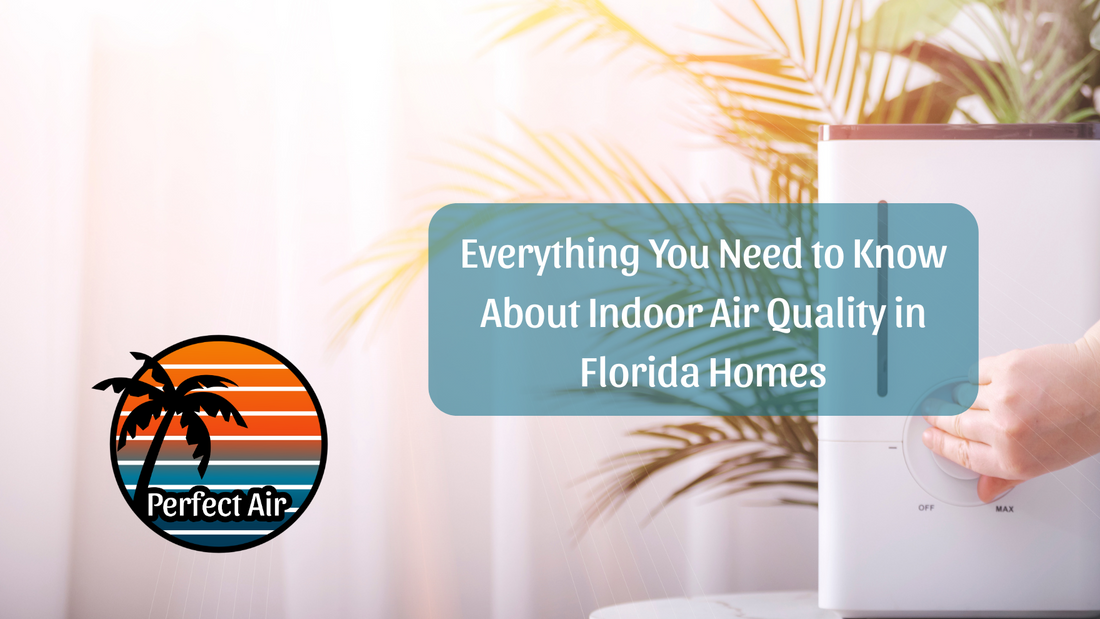 Everything You Need to Know About Indoor Air Quality in Florida Homes